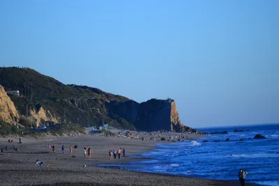 DSC_1250 (Large).JPG